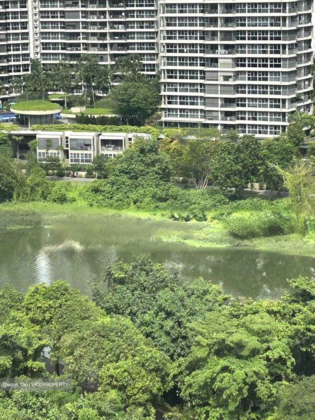 Rivercove Residences (D19), Condominium #502438151